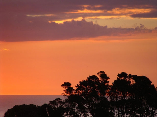 Mokau